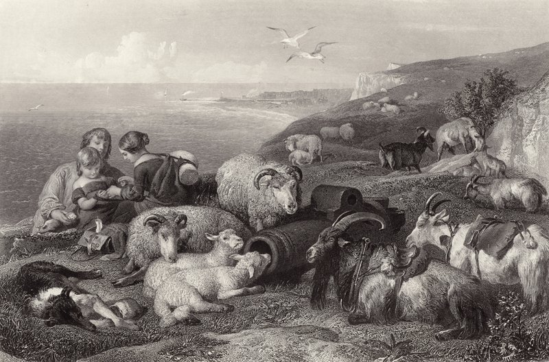 Rauha tekijältä Edwin Landseer