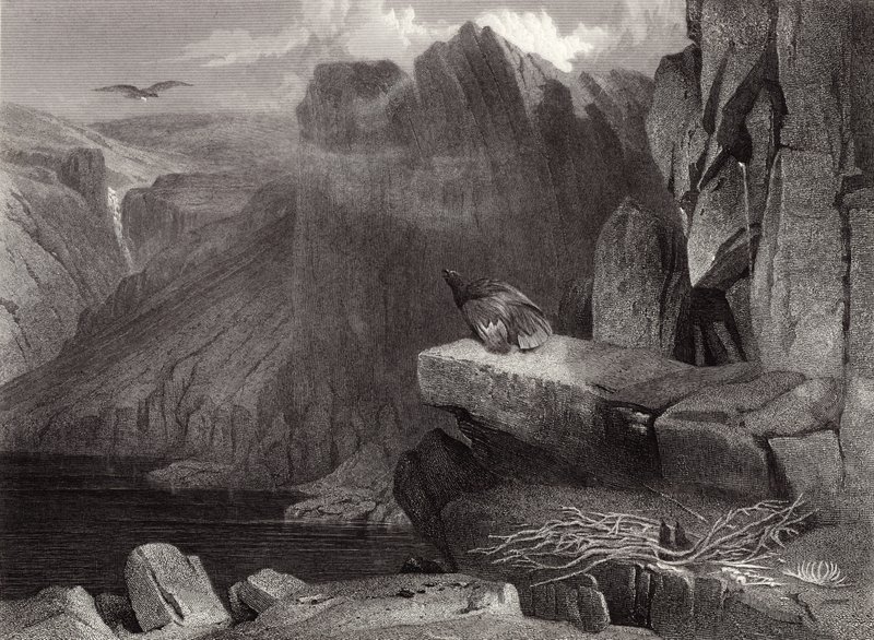 Kotkan pesä tekijältä Edwin Landseer