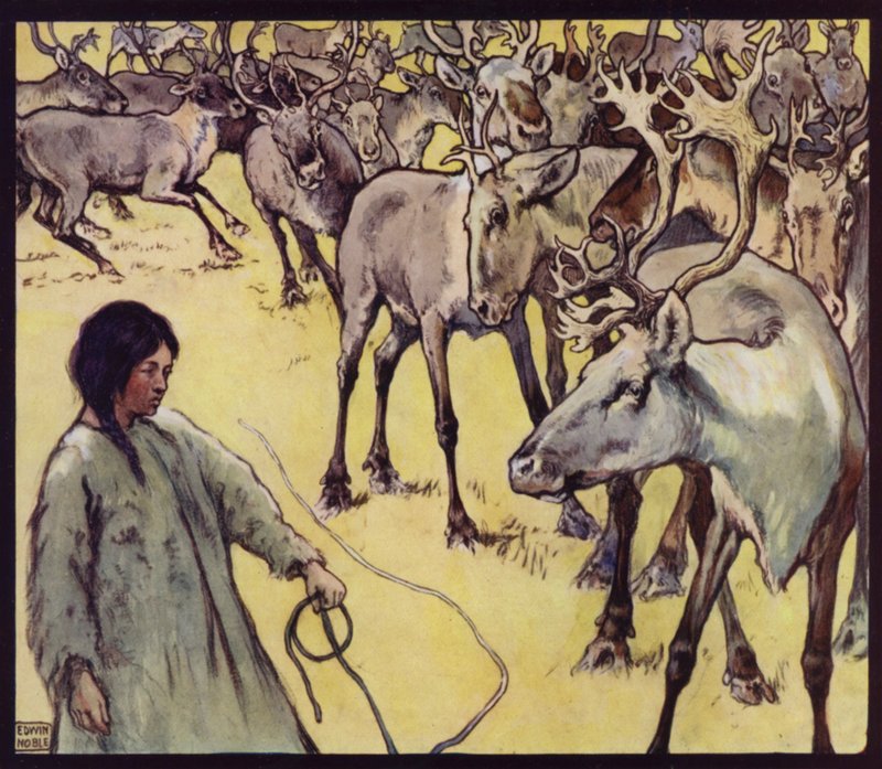 Lapin tyttö porolaumalla (väri litho) tekijältä Edwin Noble