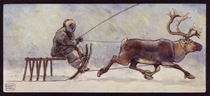 Lapin ja poron reki (väri litho) tekijältä Edwin Noble