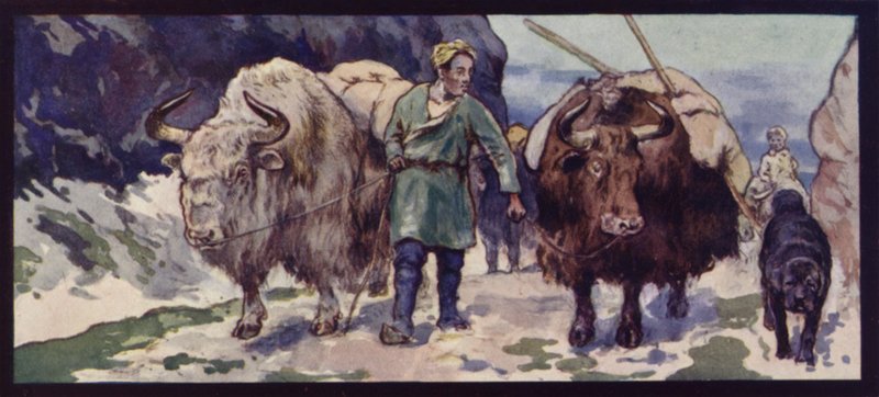 Thibetan Yak Train (värijäsenet) tekijältä Edwin Noble