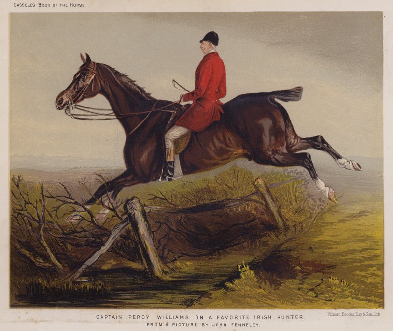 Kapteeni Percy Williams suosikki Irish Hunterissa (väri litho) tekijältä Edwin Noble