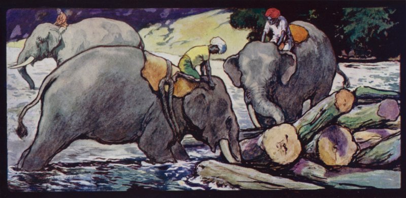 Elefantit käsittelevät lokeja joessa (väri litho) tekijältä Edwin Noble