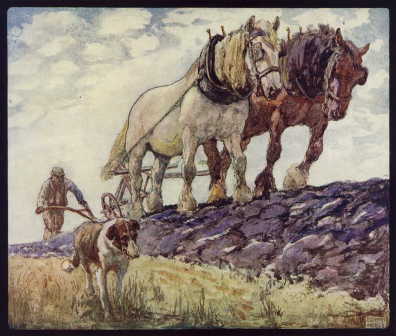 Englantilainen kärry-hevosten kyntö (väri litho) tekijältä Edwin Noble