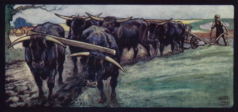 Härät kyntämässä Sussex Downsilla (väri litho) tekijältä Edwin Noble