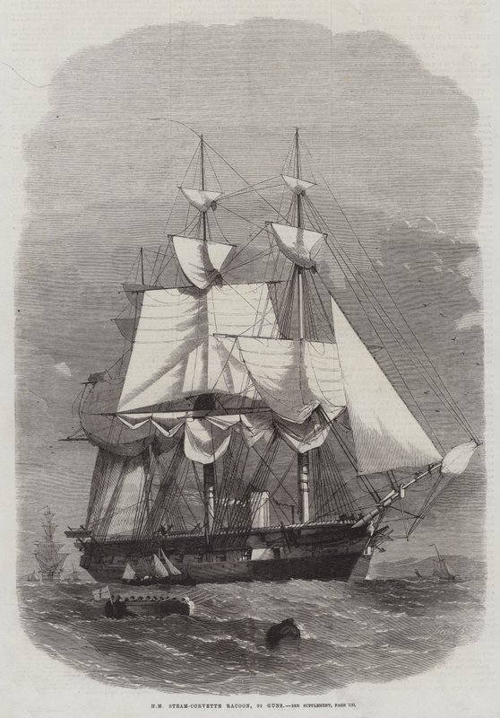 HM Steam-Corvette Racoon, 22 tykkiä tekijältä Edwin Weedon