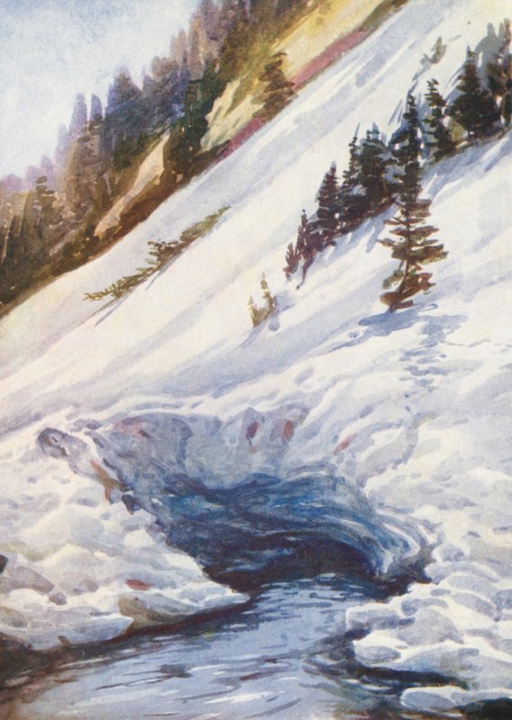 Sveitsi tekijältä Effie Jardine