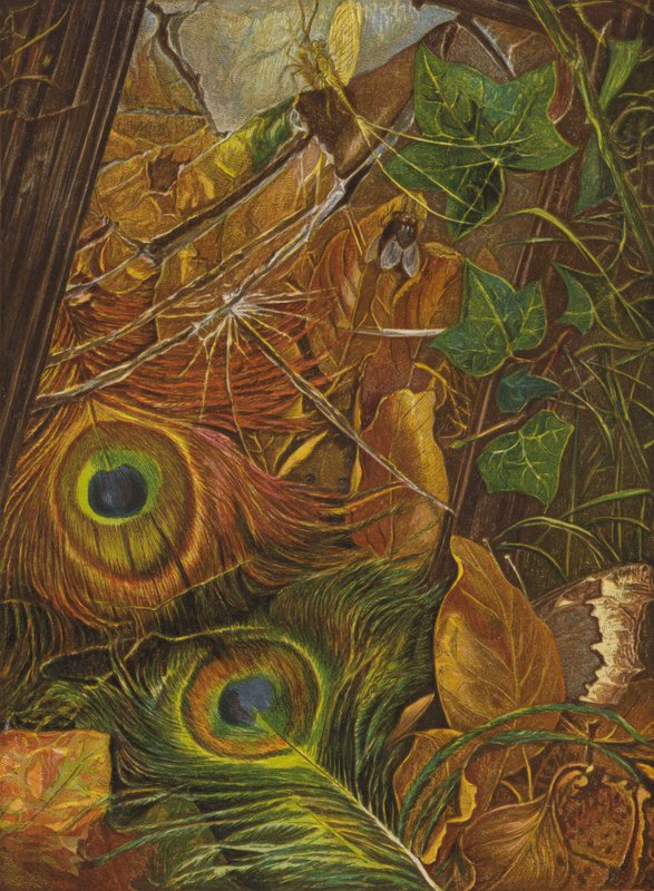 Ja lapsi ei välittänyt mitään lasista (väri litho) tekijältä Eleanor Fortescue Brickdale