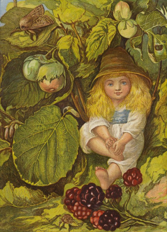 Pähkinäpensaan bower (väri litho) tekijältä Eleanor Fortescue Brickdale