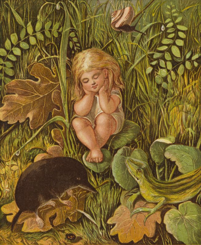 Kaksi pahaa kieltä (väri lito) tekijältä Eleanor Fortescue Brickdale