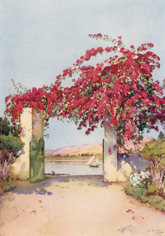 Puutarha Luxorissa (väri litho) tekijältä Ella Du Cane