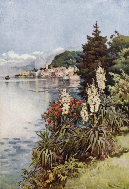 Ryhmä Yuccoja, Villa Melzi, Comojärvi (väri litho) tekijältä Ella Du Cane