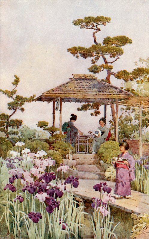 Iris Garden (väri litho) tekijältä Ella Du Cane
