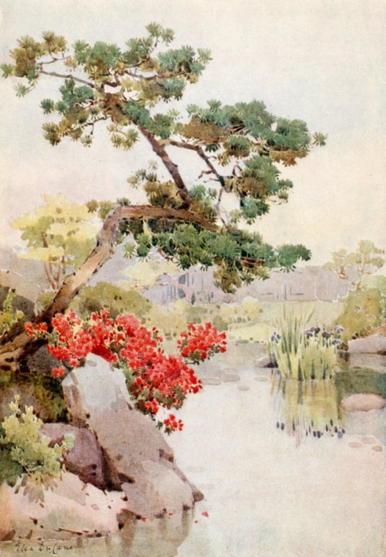 Azalea ja mänty (väri litho) tekijältä Ella Du Cane