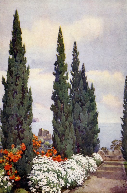 Cypress Avenue, Quinta Stanford (väri litho) tekijältä Ella Du Cane