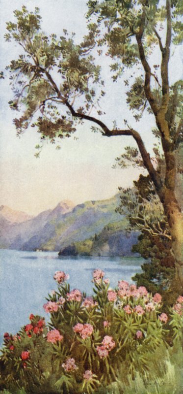 Leccojärvi, Comojärvi (väri litho) tekijältä Ella Du Cane