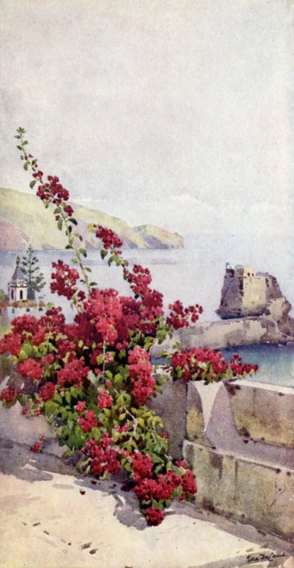 Loo Rock, Funchal (väri litho) tekijältä Ella Du Cane