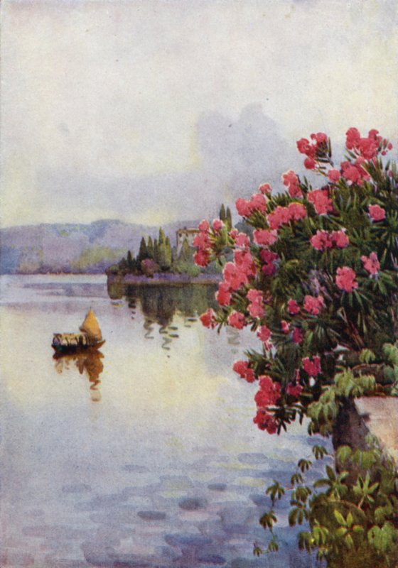 Oleanterit (väri litho) tekijältä Ella Du Cane