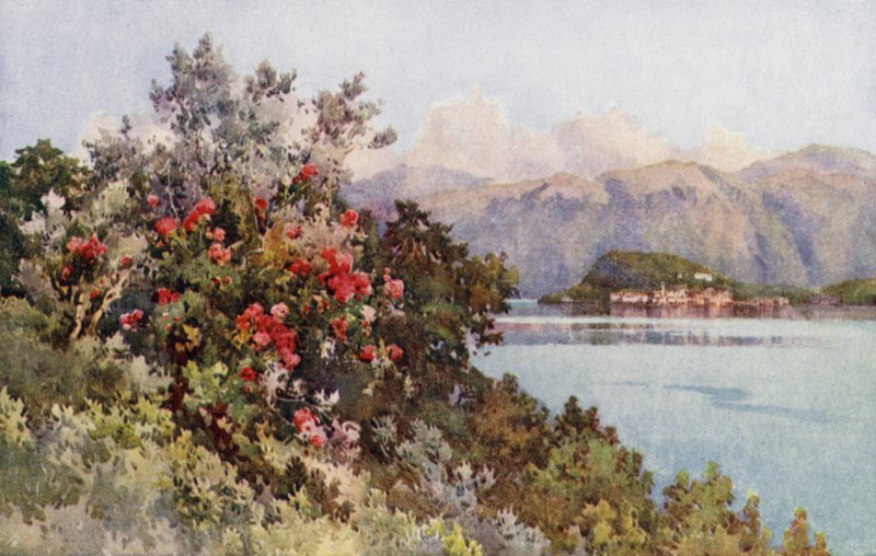 Ruusut, Villa Carlotta, Comojärvi (väri litho) tekijältä Ella Du Cane