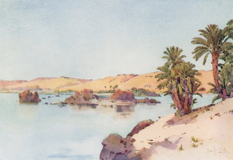 Kaihiallas Elephantine Islandilta (väri litho) tekijältä Ella Du Cane
