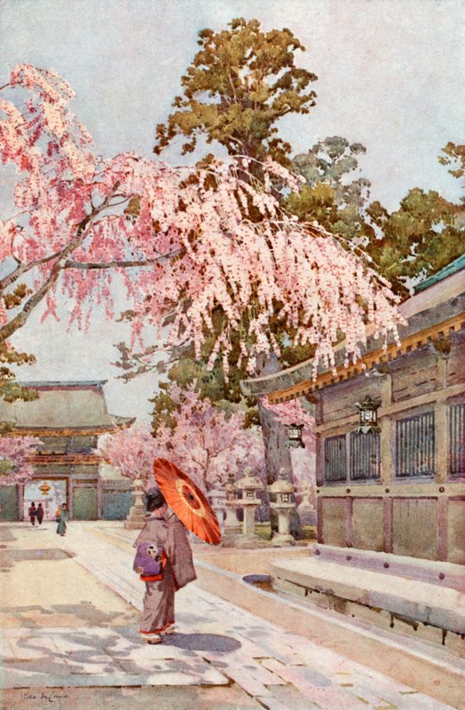 The Drooping Cherry (litografia de color) finlandès tekijältä Ella Du Cane