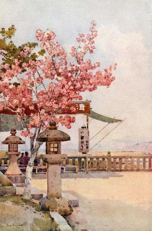 Pink Cherry (väri litho) tekijältä Ella Du Cane