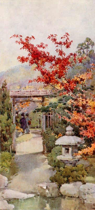 Scarlet Maple (väri litho) tekijältä Ella Du Cane