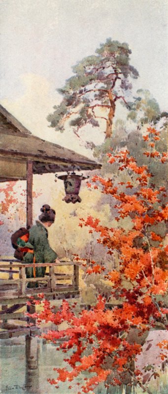 Vaahteroiden katselu (väri litho) tekijältä Ella Du Cane