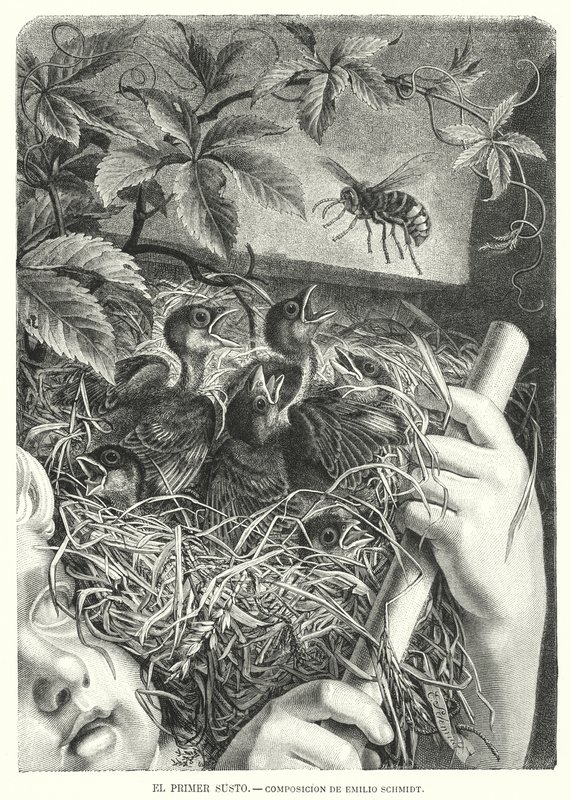 Ensimmäinen pelottelu (litho) tekijältä Emil (after) Schmidt