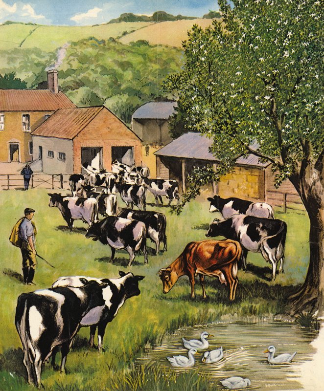 Maitotila, Englanti, 1960-luku tekijältä English School
