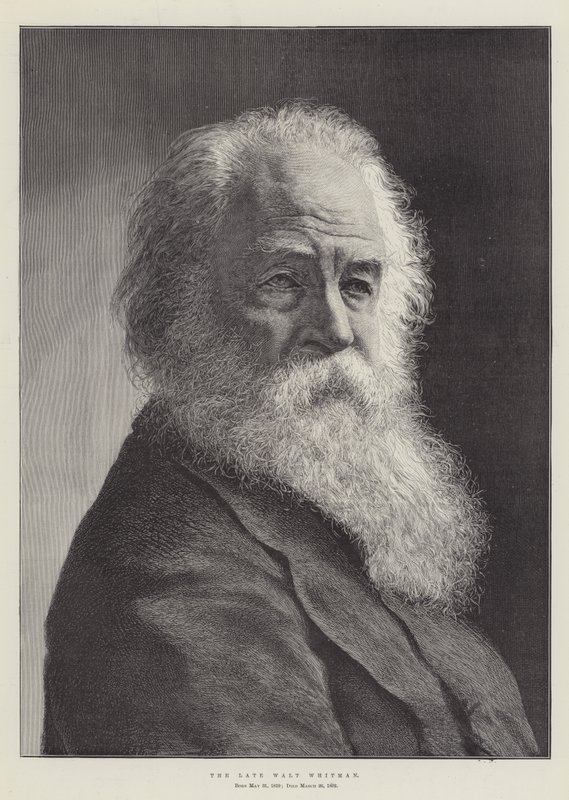 Edesmennyt Walt Whitman tekijältä English School