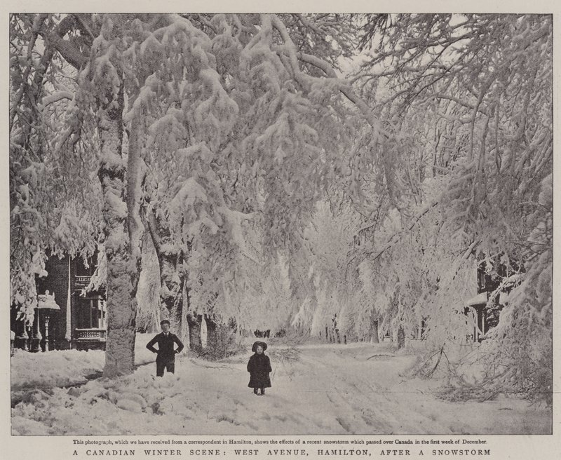Kanadalainen talvimaisema, West Avenue, Hamilton, lumimyrskyn jälkeen tekijältä English Photographer