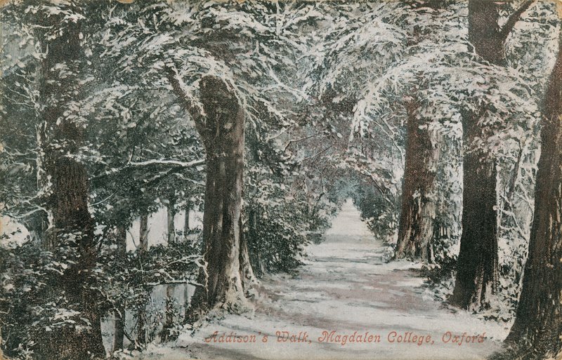 Addisons Walk, Magdalen College, Oxford. Vuonna 1913 lähetetty postikortti. tekijältä English Photographer