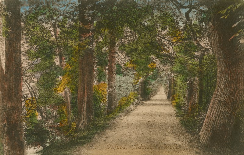 Addisons Walk, Oxford. Postikortti lähetetty 1913. tekijältä English Photographer