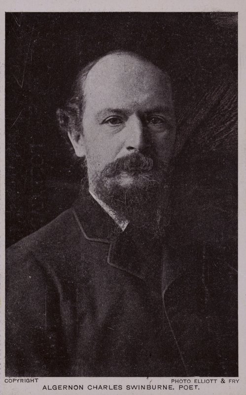 Algernon Charles Swinburne (1837-1909), englantilainen runoilija ja näytelmäkirjailija tekijältä English Photographer