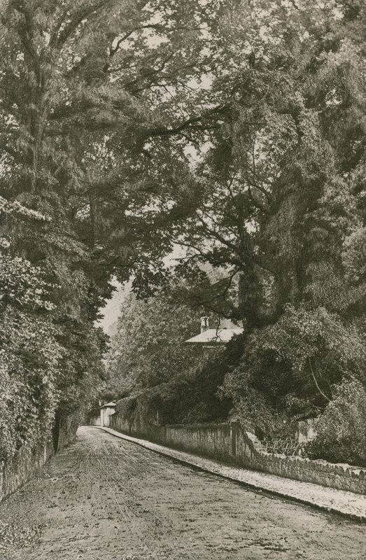 Bonchurch Road, Isle of Wight tekijältä English Photographer