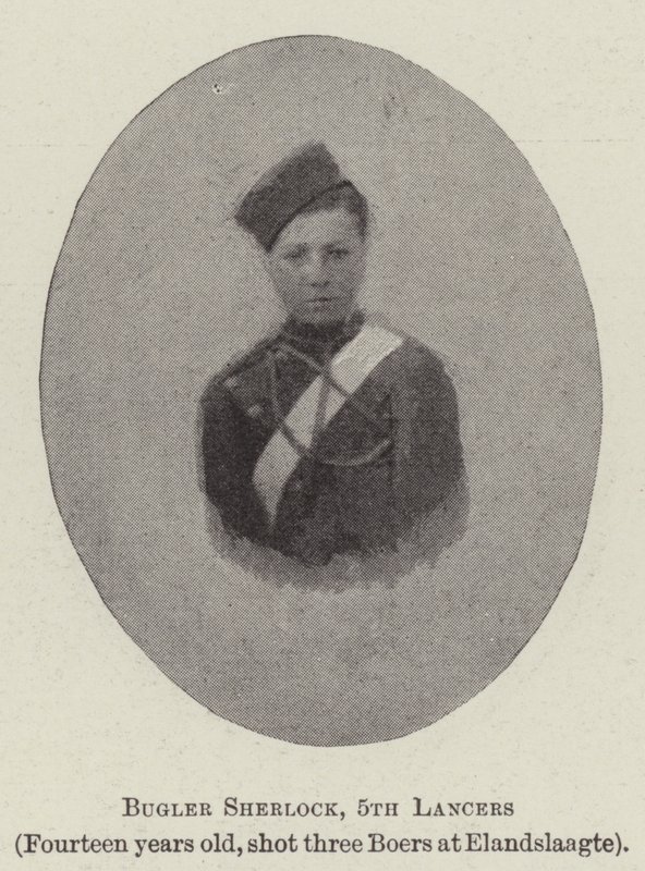 Bugler Sherlock, 5th Lancers tekijältä English Photographer