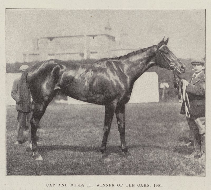 Cap and Bells II, Oaks-voittaja, 1901 tekijältä English Photographer
