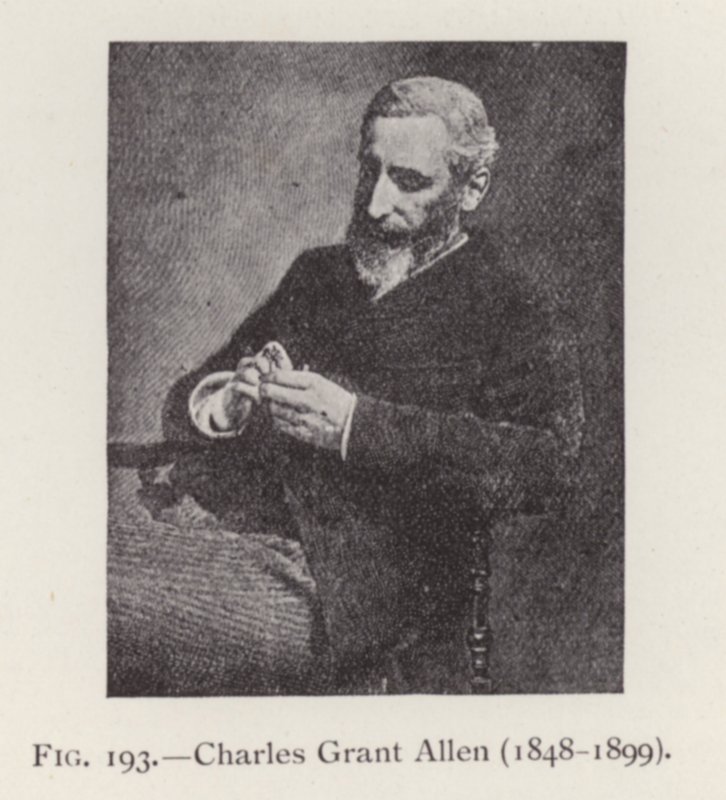 Charles Grant Allen (1848-1899), muotokuva (m/v kuva) tekijältä English Photographer