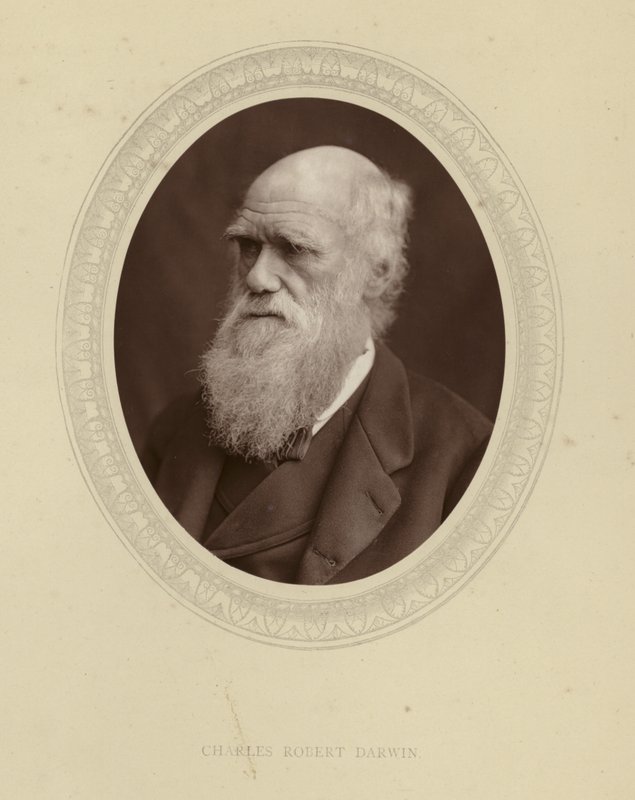 Charles Robert Darwin tekijältä English Photographer