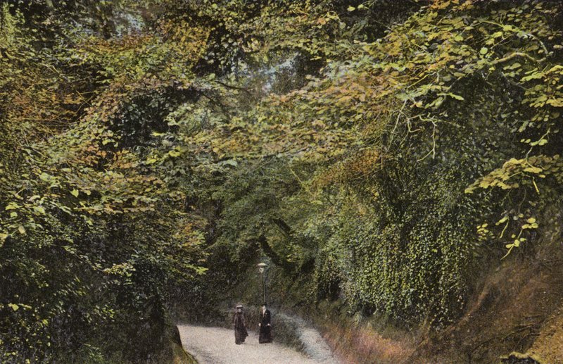 Chine Hollow, Shanklin tekijältä English Photographer