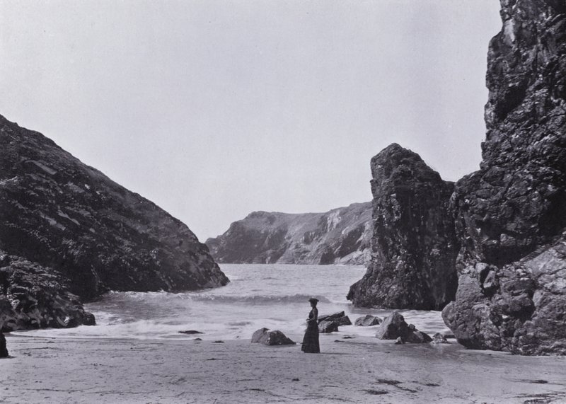 Cornwall: Kynance Cove, lisko tekijältä English Photographer
