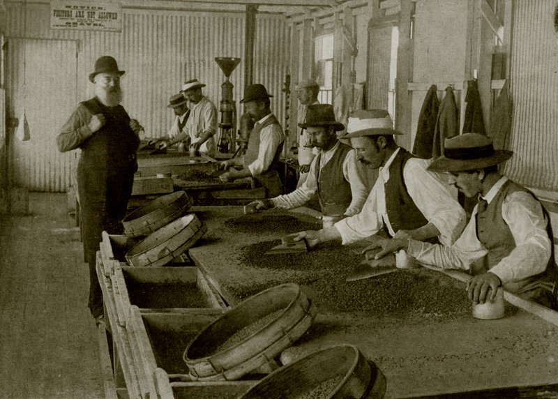 Timantit ja lika tekijältä English Photographer