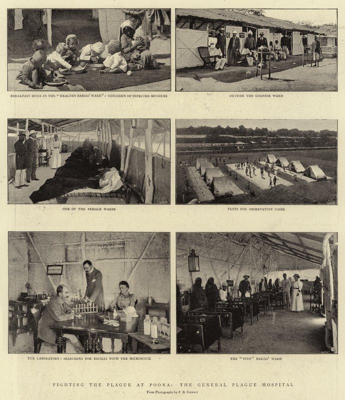 Taistelu ruttoa vastaan Poonassa, yleisessä ruttosairaalassa tekijältä English Photographer