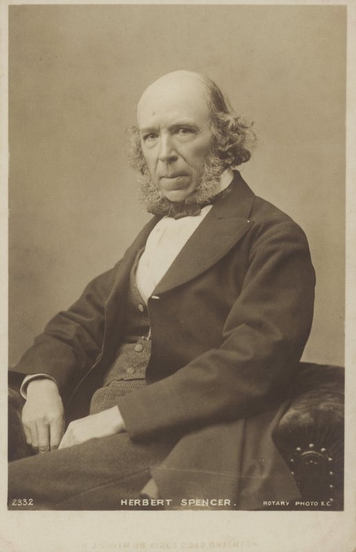 Herbert Spencer (1820-1903), englantilainen filosofi, poliittinen teoreetikko, biologi ja sosiologi tekijältä English Photographer