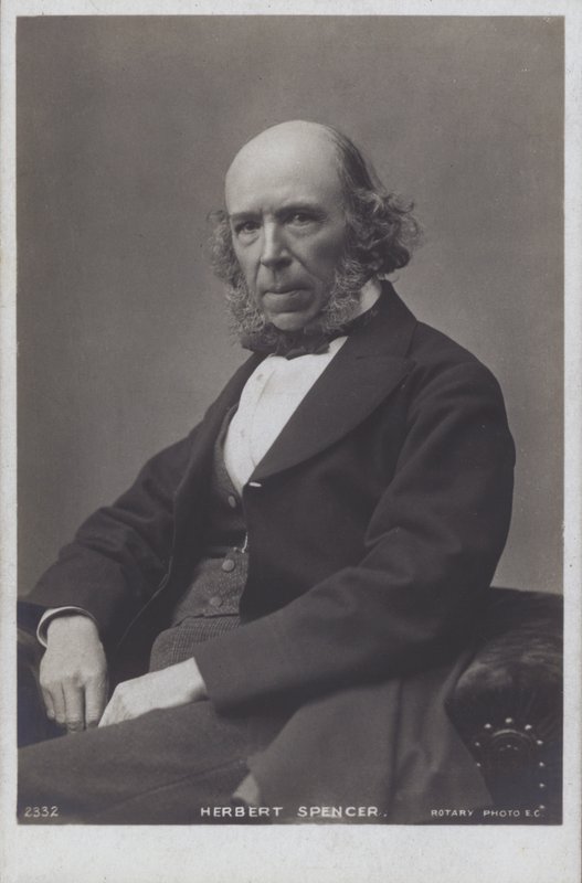 Herbert Spencer (s/w-kuva) tekijältä English Photographer