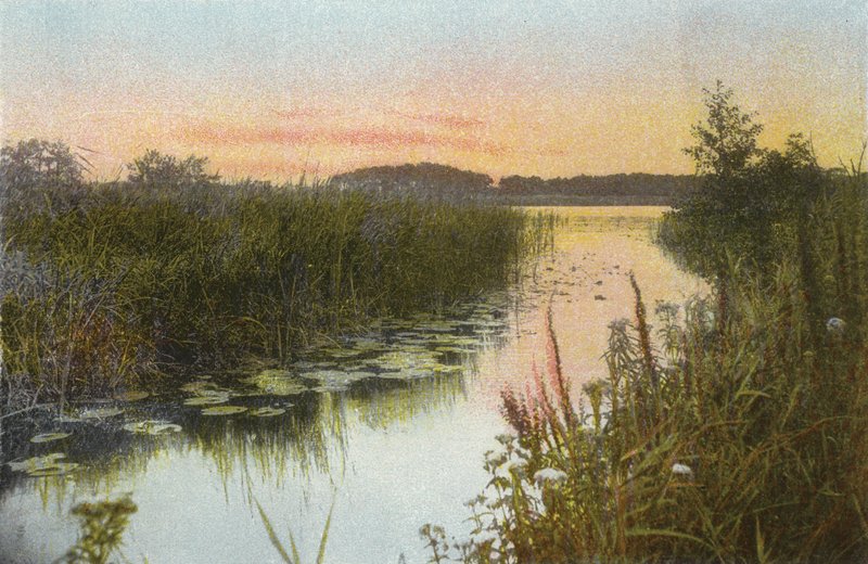 Hoveton Broad tekijältä English Photographer