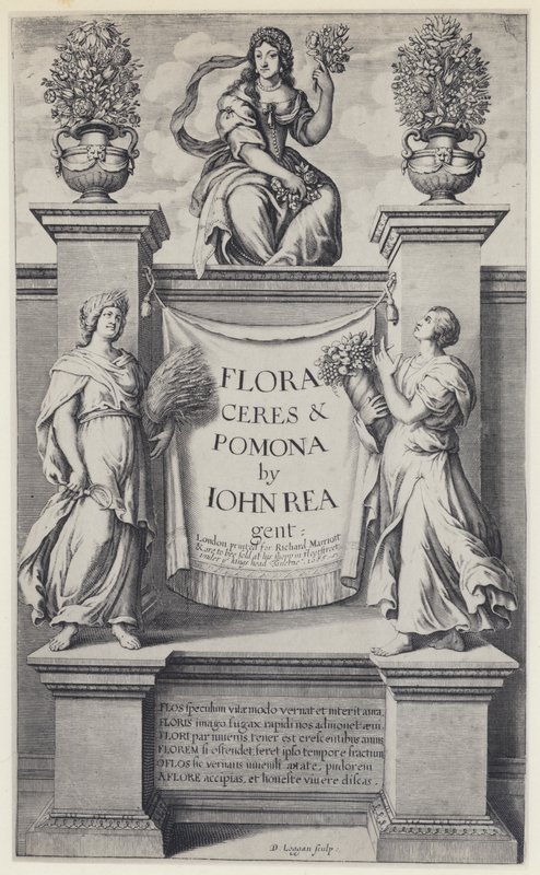 J Rea, Flora, Ceres ja Pomona, R Marriott 1665 (b/w kuva) tekijältä English Photographer