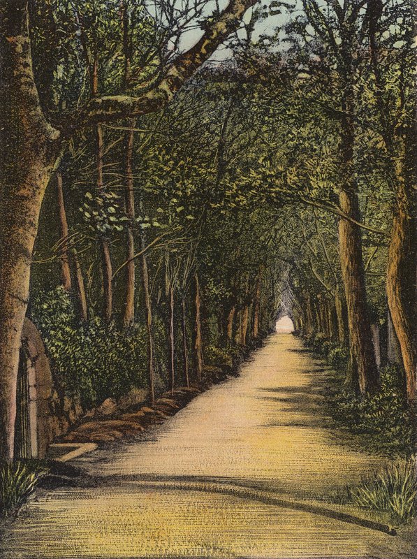 Jersey: Vinchelez Lane (värillinen kuva) tekijältä English Photographer