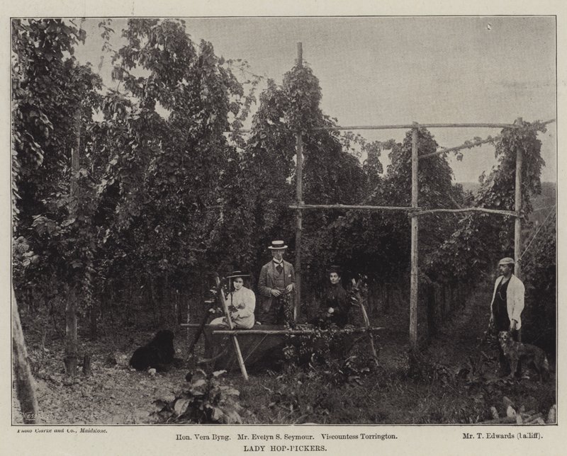 Lady Hop-Pickers tekijältä English Photographer